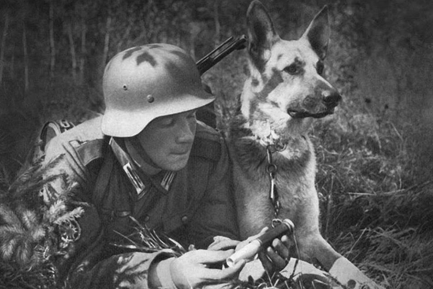 Coronel Konrad Most, el padre del adiestramiento canino