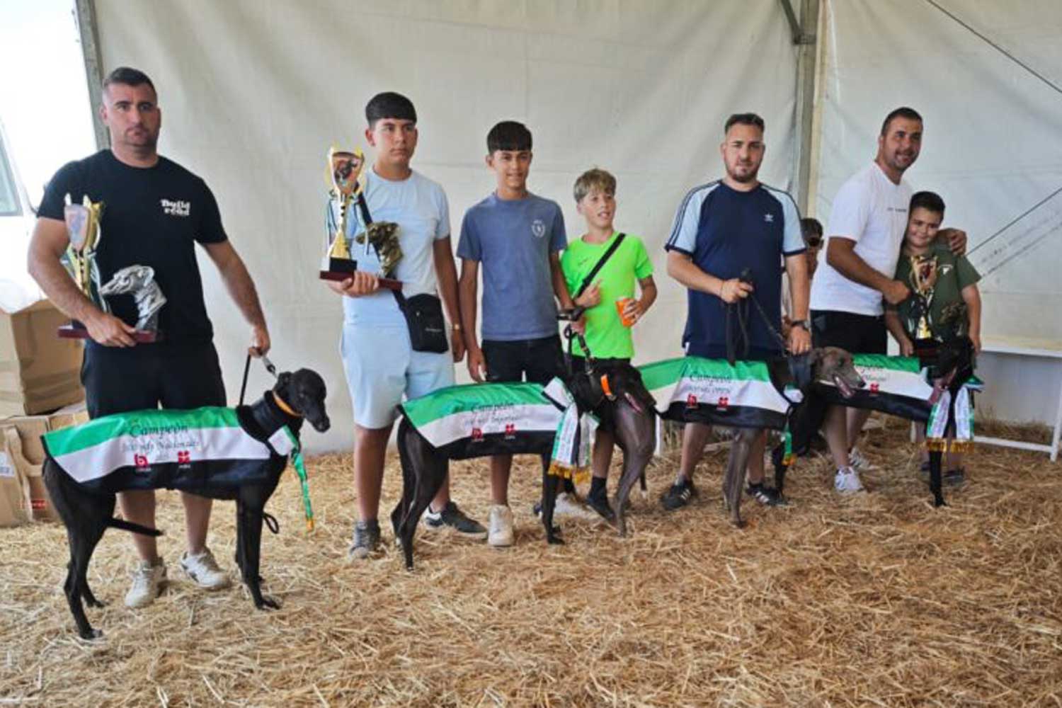 Se acerca la final de las carreras de galgos