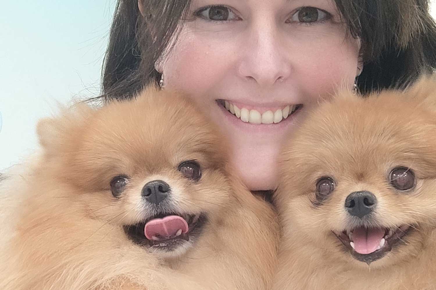 Pomerania, la importancia del pelo