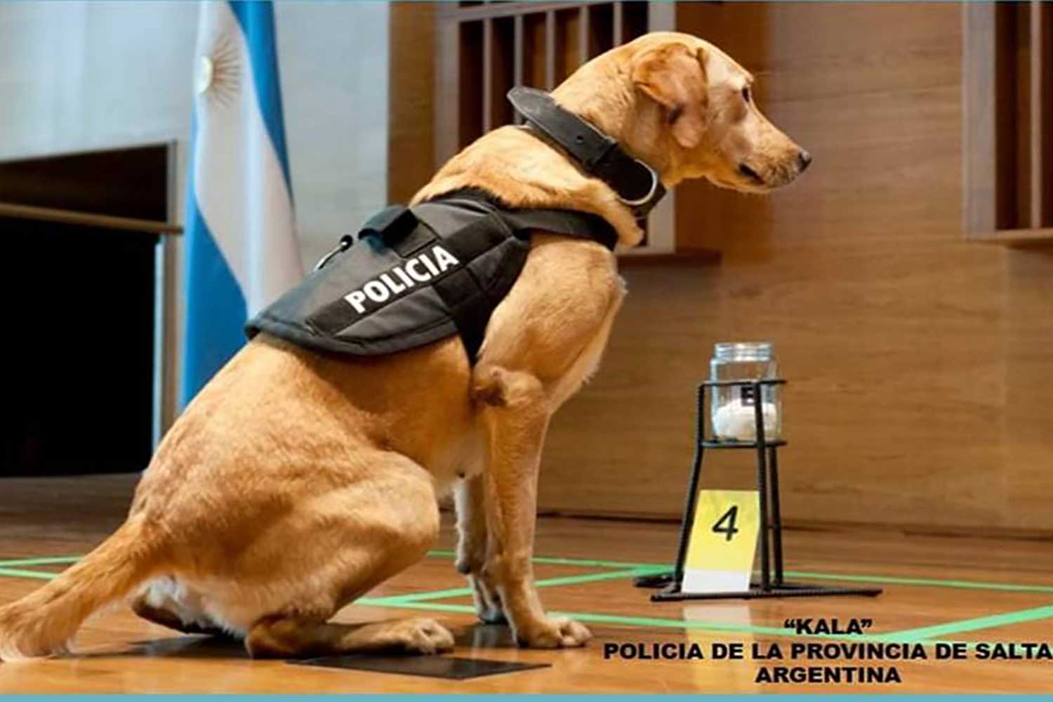 Odorologia1
